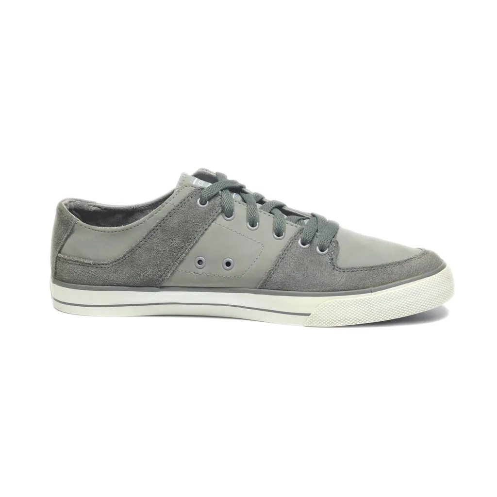 Dc Shoes Low-Top Sneakers Leather Grey Colour For Men